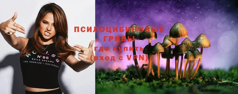 Псилоцибиновые грибы Psilocybe  МЕГА вход  Бородино 